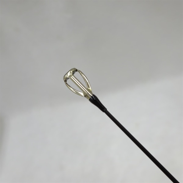 １９ＥＧＲＲＳ７９Ｍ